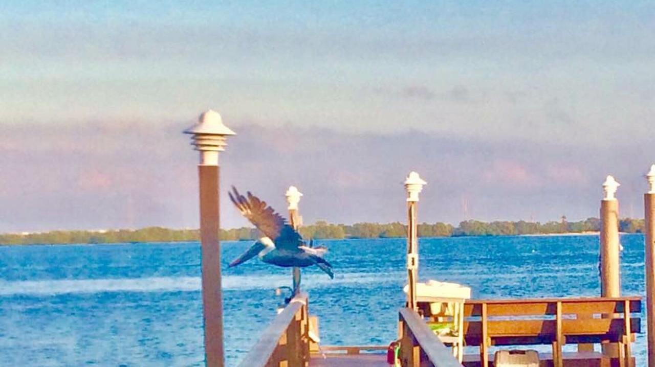 Pag Beachhouse Rentals St. Pete Beach Luaran gambar