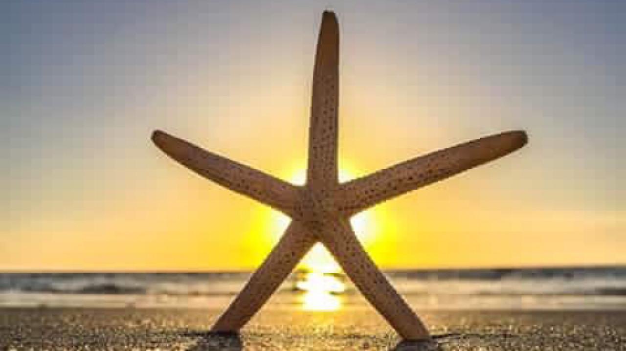 Pag Beachhouse Rentals St. Pete Beach Luaran gambar